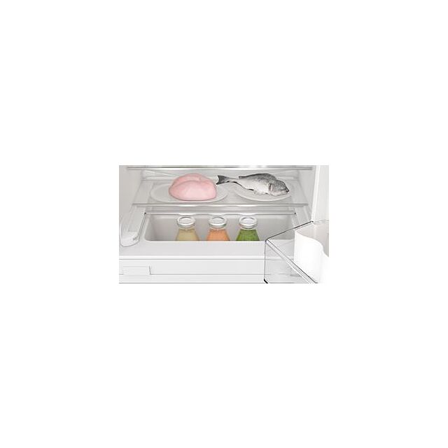 Bosch KUR21VFE0G, Built-under fridge